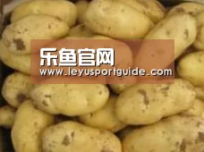 产品展示标题6
