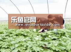 种植基地三