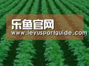 种植基地六(图1)