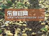 种植基地七