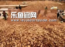 种植基地二