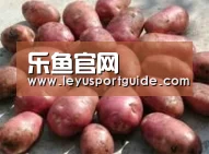 产品展示标题5