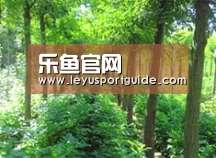 种植基地九