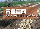 种植基地七(图1)