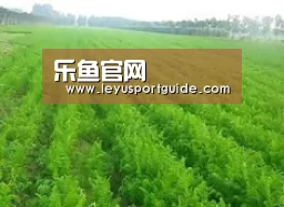 种植基地四
