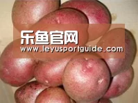 产品展示标题1