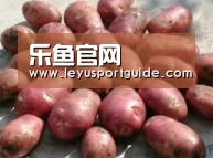 产品展示标题5(图1)