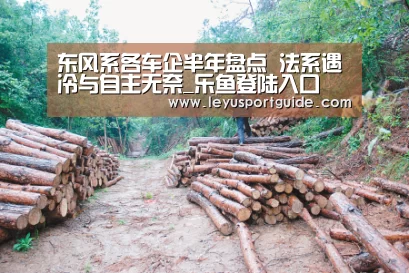 东风系各车企半年盘点 法系遇冷与自主无奈_乐鱼登陆入口(图3) 乐鱼登陆入口