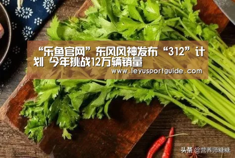 “乐鱼官网”东风风神发布“312”计划 今年挑战12万辆销量(图3)