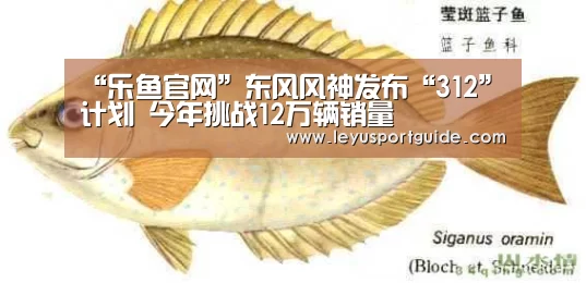 “乐鱼官网”东风风神发布“312”计划 今年挑战12万辆销量(图1)