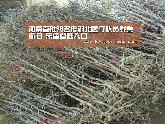 河南首批98名援湖北医疗队员载誉而归_乐鱼登陆入口(图2) 乐鱼官网