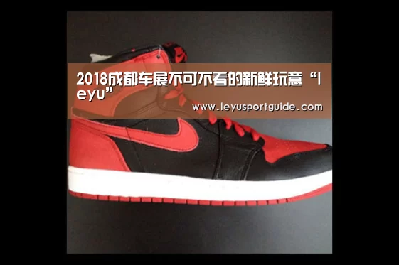 2018成都车展不可不看的新鲜玩意“leyu”(图3) 乐鱼官网