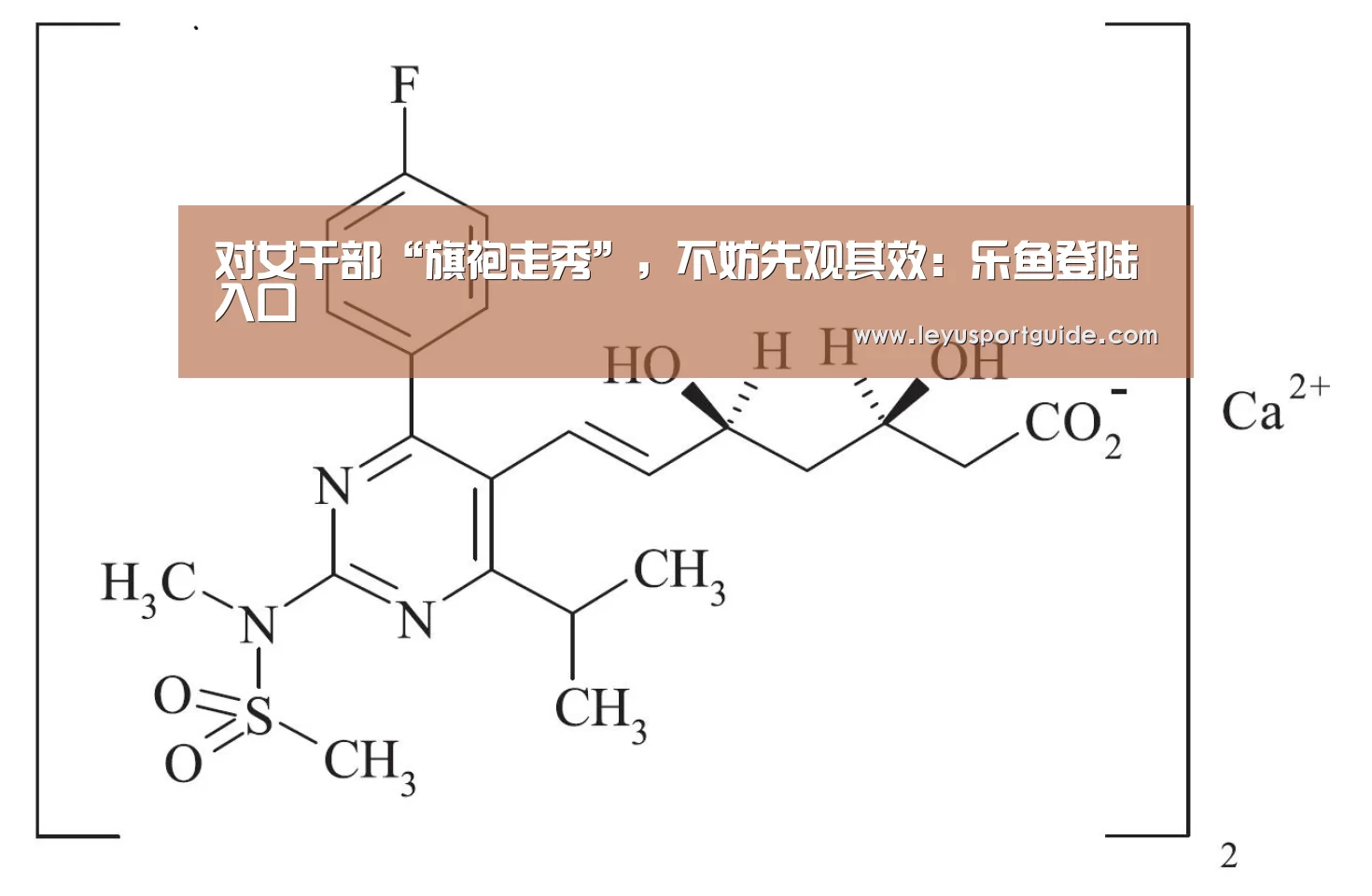 乐鱼登陆入口