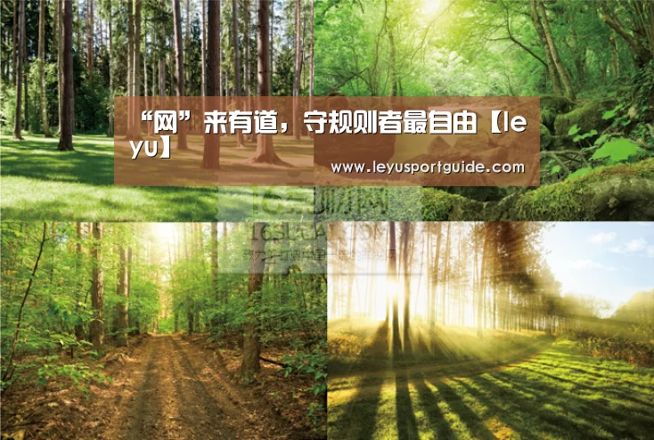 “网”来有道,守规则者最自由【leyu】(图1) 乐鱼官网