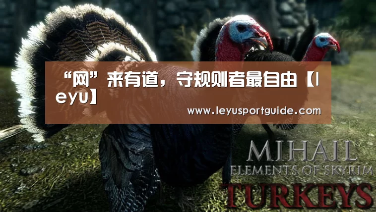 “网”来有道,守规则者最自由【leyu】(图2) 乐鱼登陆入口
