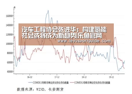 汽车工程协会张进华：构建氢能社会或将成为新趋势|乐鱼官网(图1)
