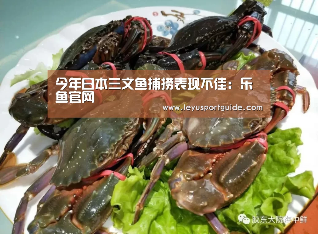 今年日本三文鱼捕捞表现不佳:乐鱼官网(图2) 今年日本三文鱼捕捞表现不佳:乐鱼官网(图2)