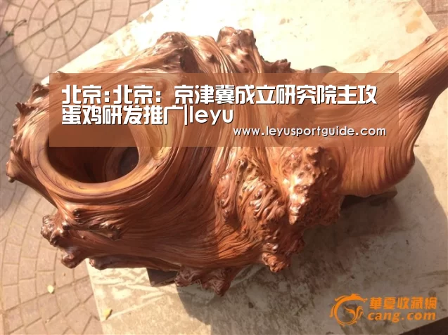 北京:北京:京津冀成立研究院主攻蛋鸡研发推广|leyu(图1) 乐鱼官网