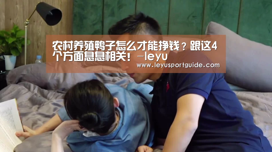 农村养殖鸭子怎么才能挣钱?跟这4个方面息息相关!-leyu(图1) 农村养殖鸭子怎么才能挣钱?跟这4个方面息息相关!-leyu(图1)