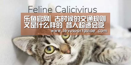 乐鱼官网|
古时候的交通规则又是什么样的 昔人超速会受到什么样的处罚(图1)
