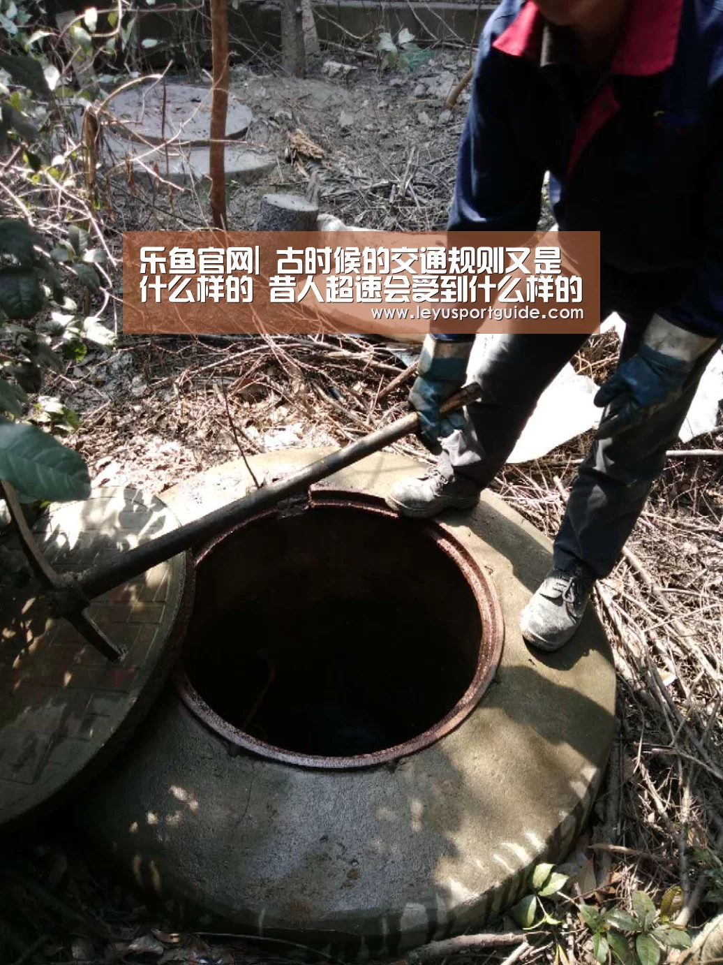 乐鱼官网