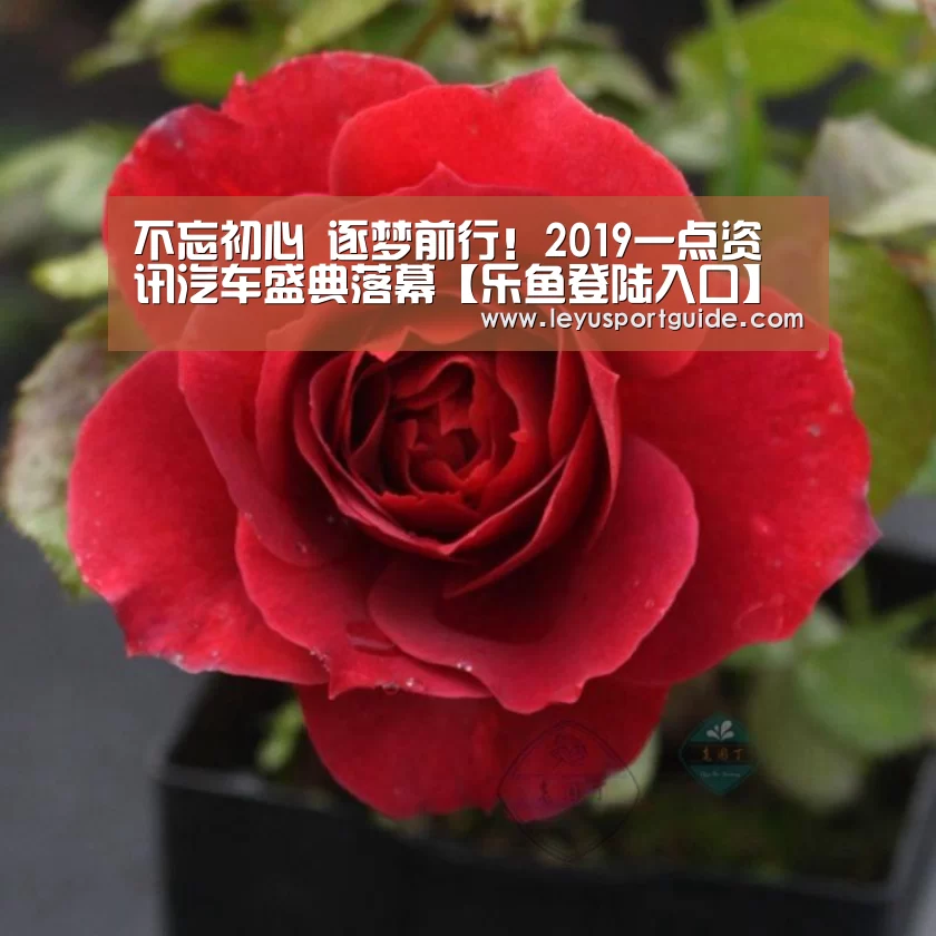不忘初心 逐梦前行!2019一点资讯汽车盛典落幕【乐鱼登陆入口】(图3) 乐鱼官网