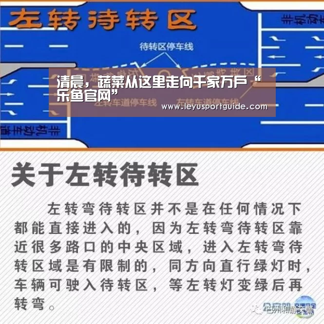 清晨,蔬菜从这里走向千家万户“乐鱼官网”(图3) 乐鱼官网