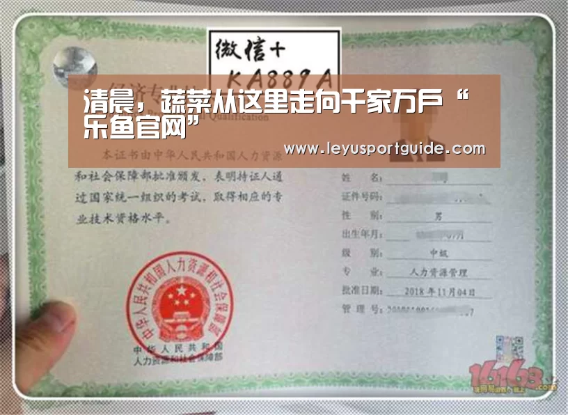 清晨,蔬菜从这里走向千家万户“乐鱼官网”(图4) 乐鱼官网