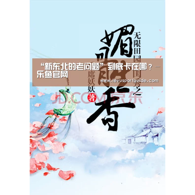 “新东北的老问题”到底卡在哪?-乐鱼官网(图1) “新东北的老问题”到底卡在哪?-乐鱼官网(图1)