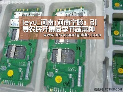 leyu_河南:河南宁陵:引导农民开展反季节蔬菜种植(图3) leyu_河南:河南宁陵:引导农民开展反季节蔬菜种植(图3)