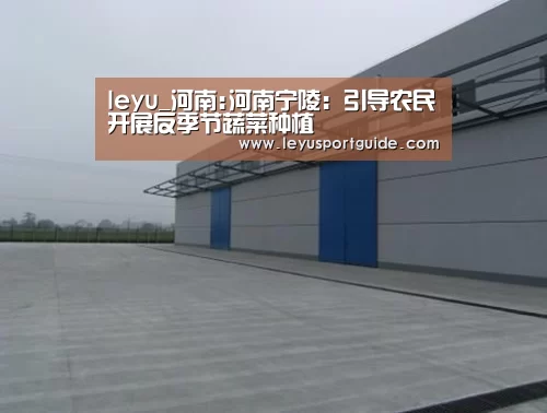 leyu_河南:河南宁陵:引导农民开展反季节蔬菜种植(图2) leyu_河南:河南宁陵:引导农民开展反季节蔬菜种植(图2)