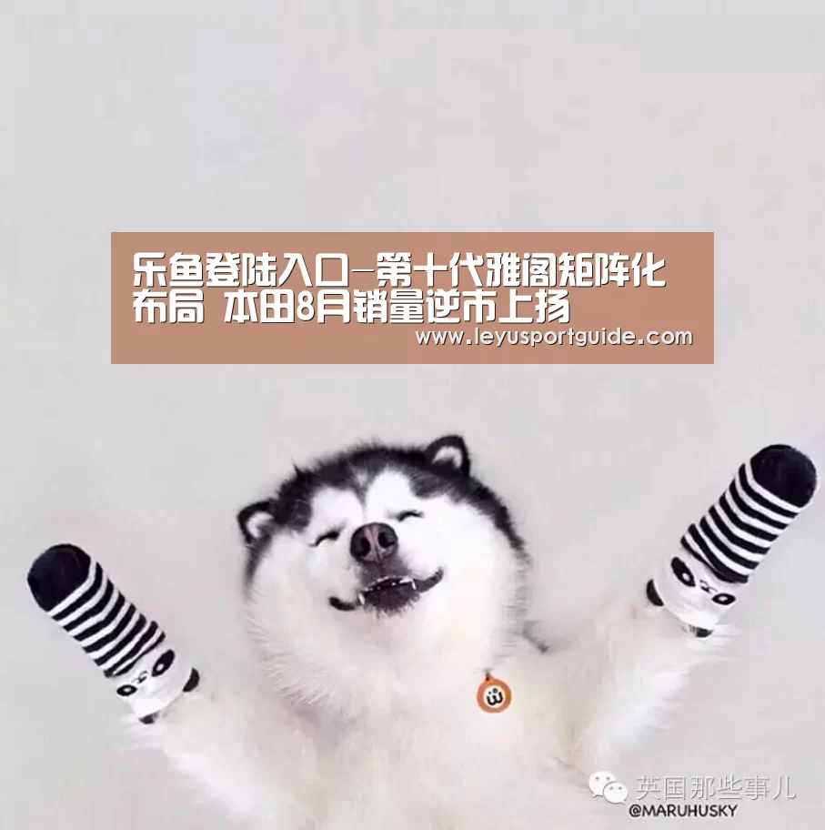 乐鱼登陆入口-第十代雅阁矩阵化布局 本田8月销量逆市上扬(图2) 乐鱼官网
