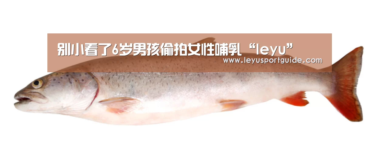 别小看了6岁男孩偷拍女性哺乳“leyu”(图1) 乐鱼官网